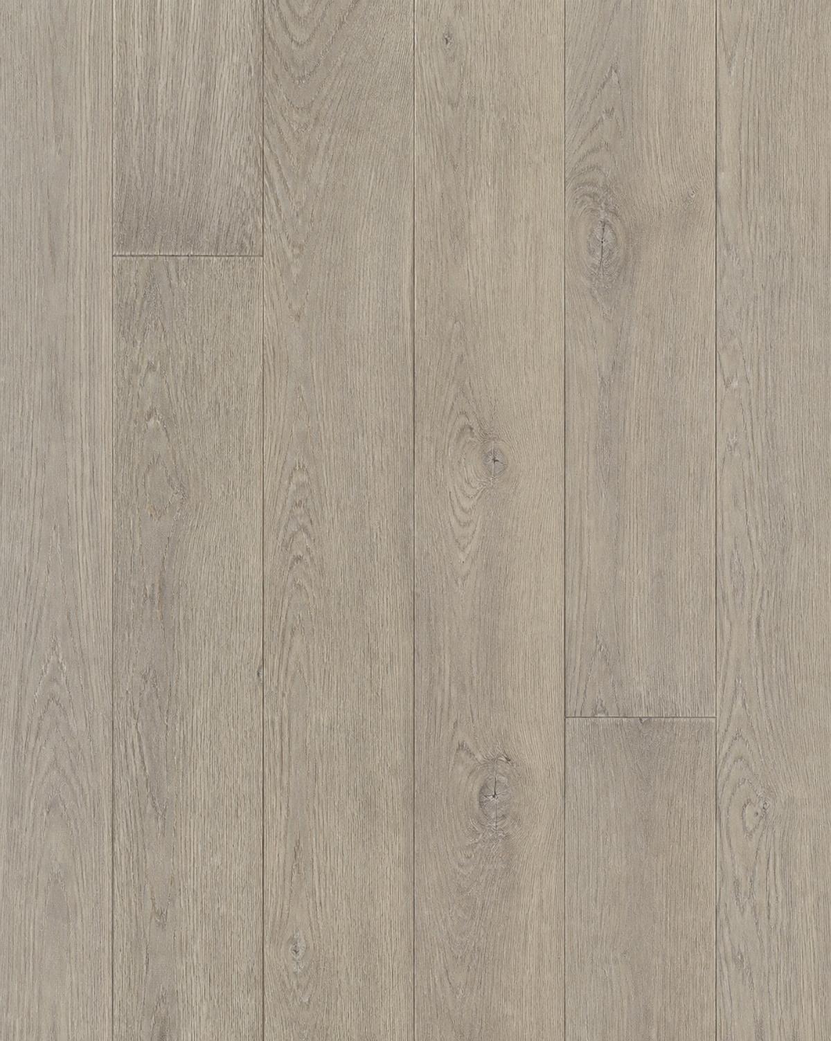 Plank crop of mid-tone greige oak with brushed surface in neutral daylight