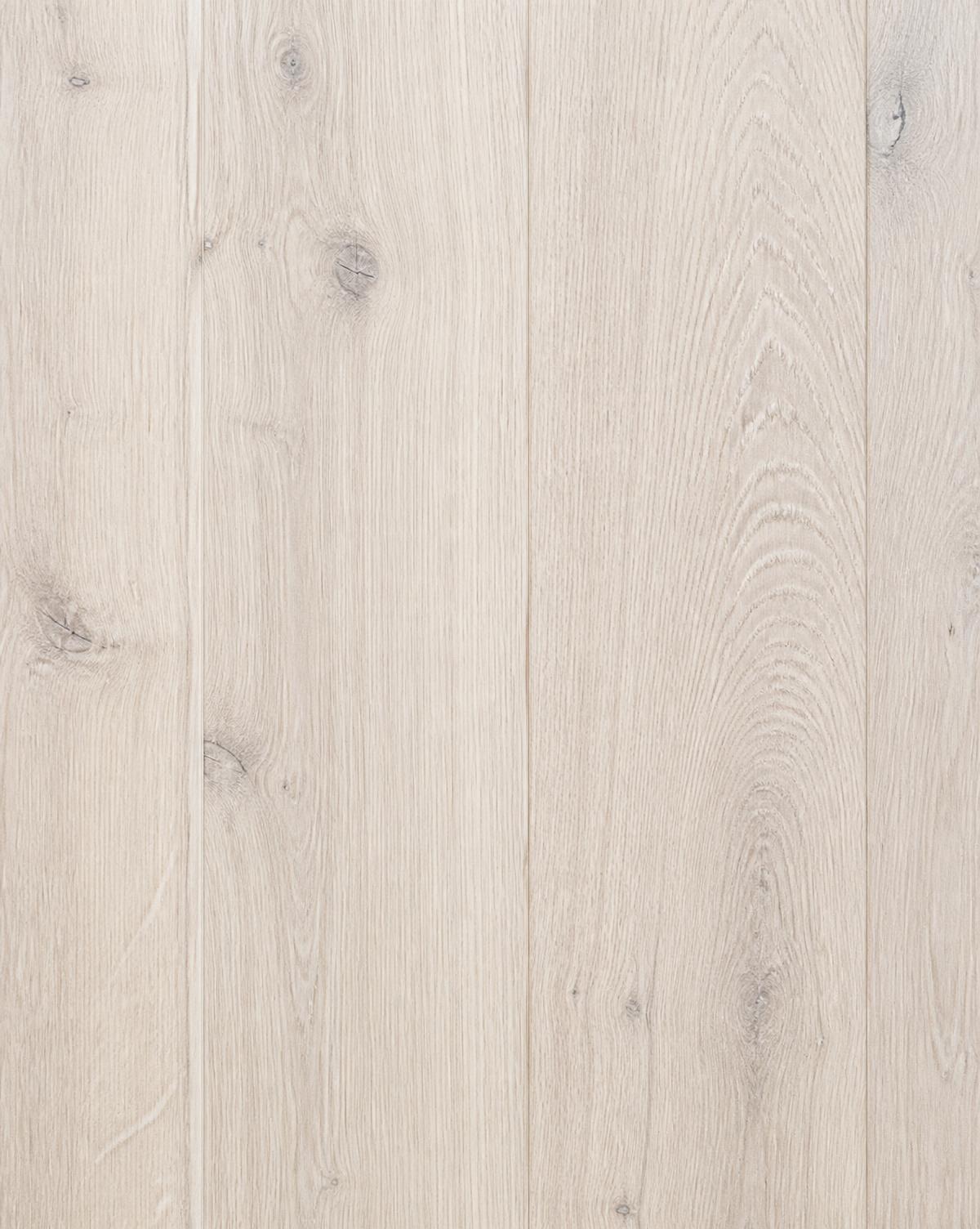 Plank crop of pale natural oak with sawn surface in neutral daylight